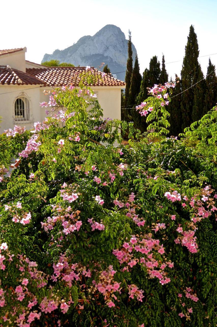 Villa Benavero Boutique Style Within Fenced Tropical Garden Calpe Exterior foto