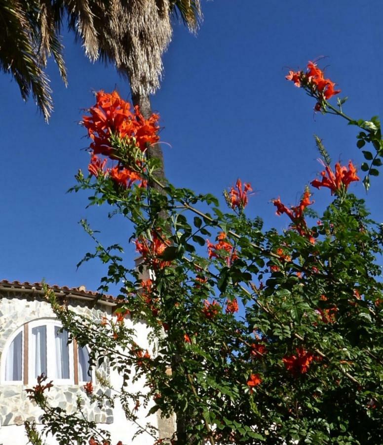 Villa Benavero Boutique Style Within Fenced Tropical Garden Calpe Exterior foto